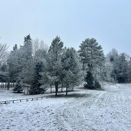 Pangamaee Puhkemaja Nyaraló Lokuta
