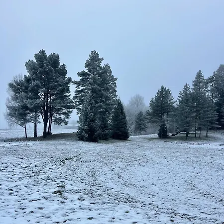 Pangamaee Puhkemaja Dom wakacyjny *