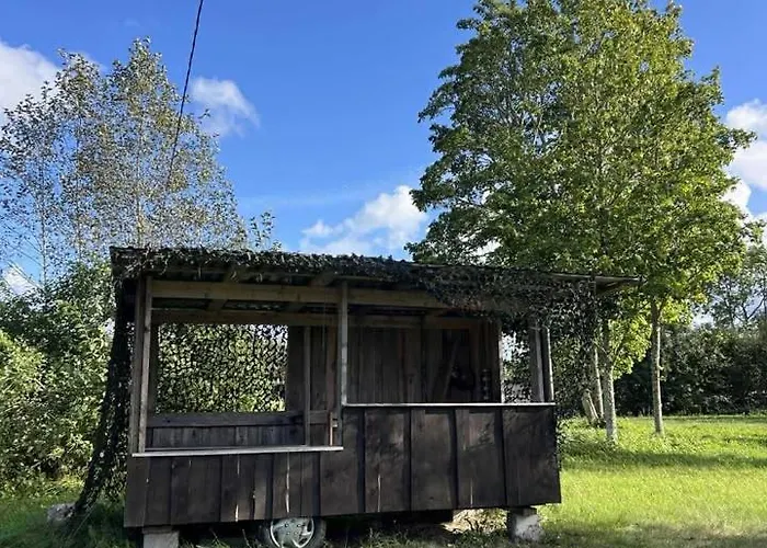 Pangamaee Puhkemaja Lokuta (Raplamaa)