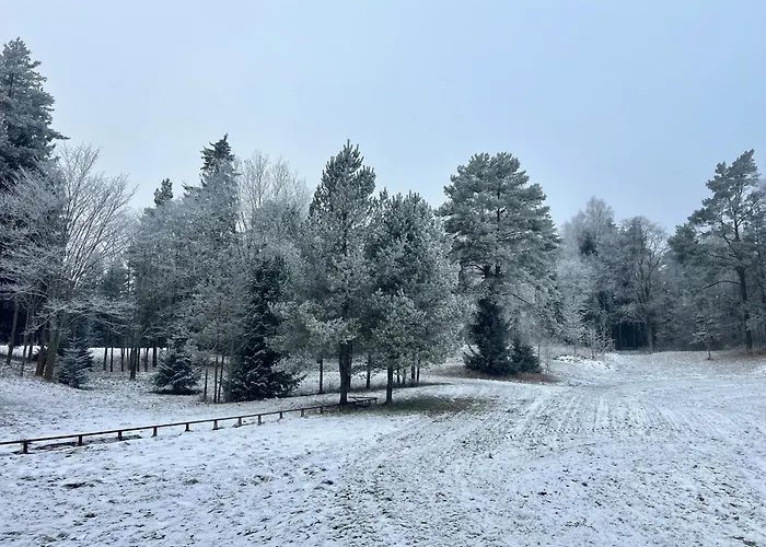 Pangamaee Puhkemaja Holiday home Lokuta (Raplamaa)