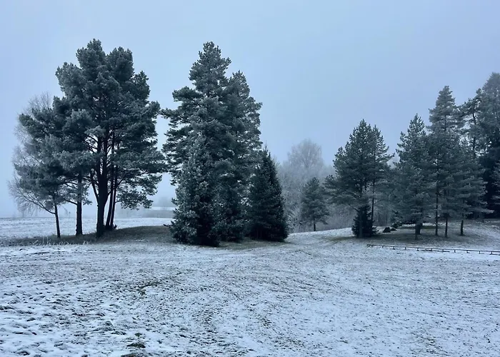 Pangamaee Puhkemaja Holiday home *